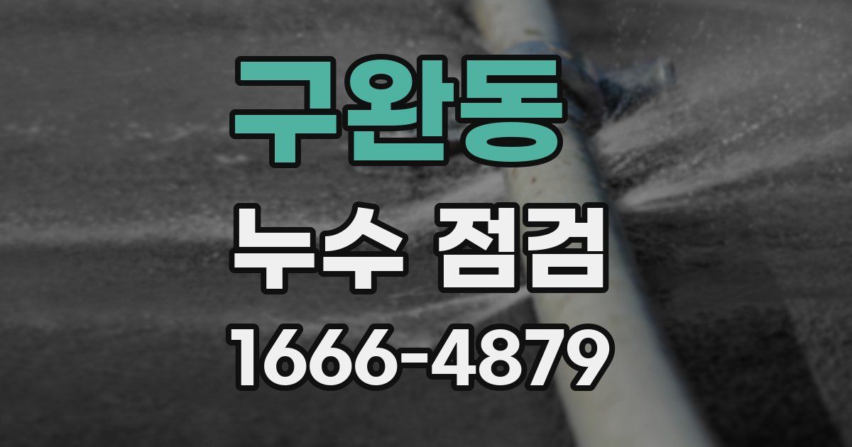 구완동 누수 점검