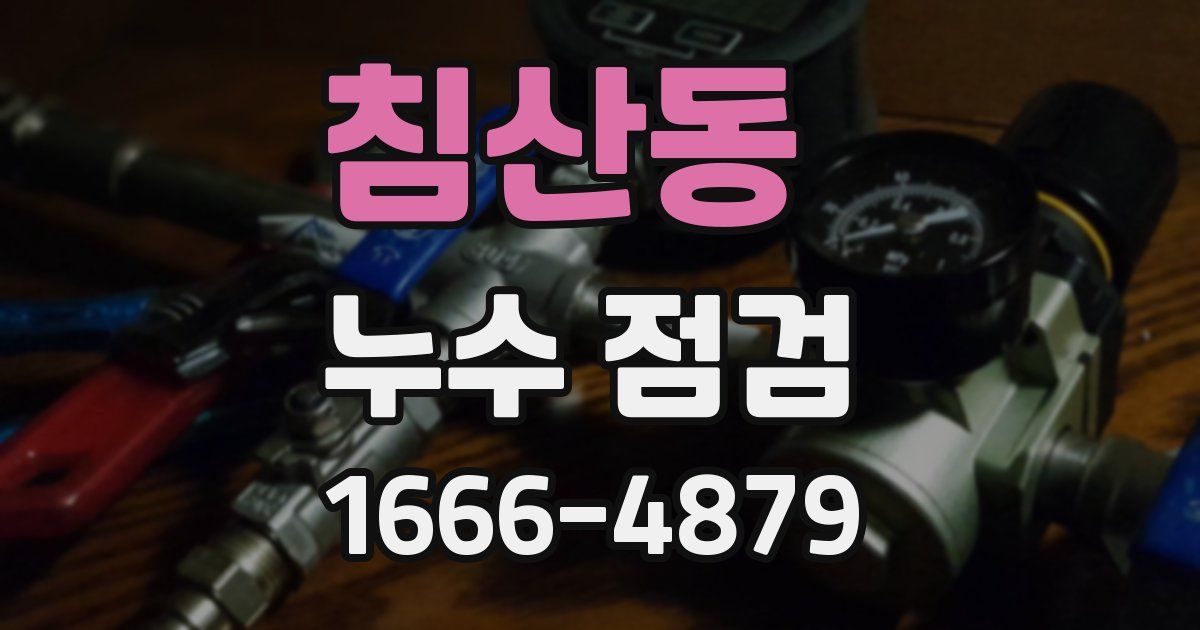 침산동 누수 점검