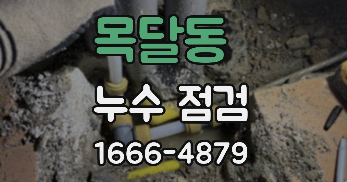목달동 누수 점검