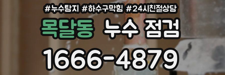 목달동 누수 점검