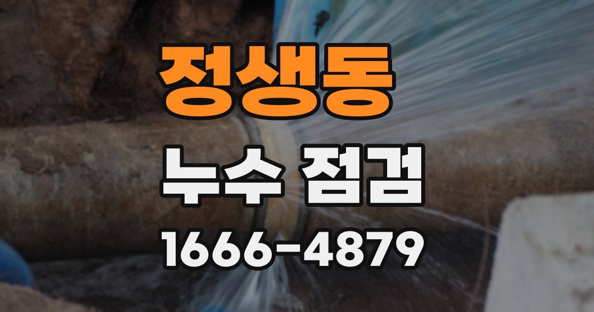 정생동 누수 점검