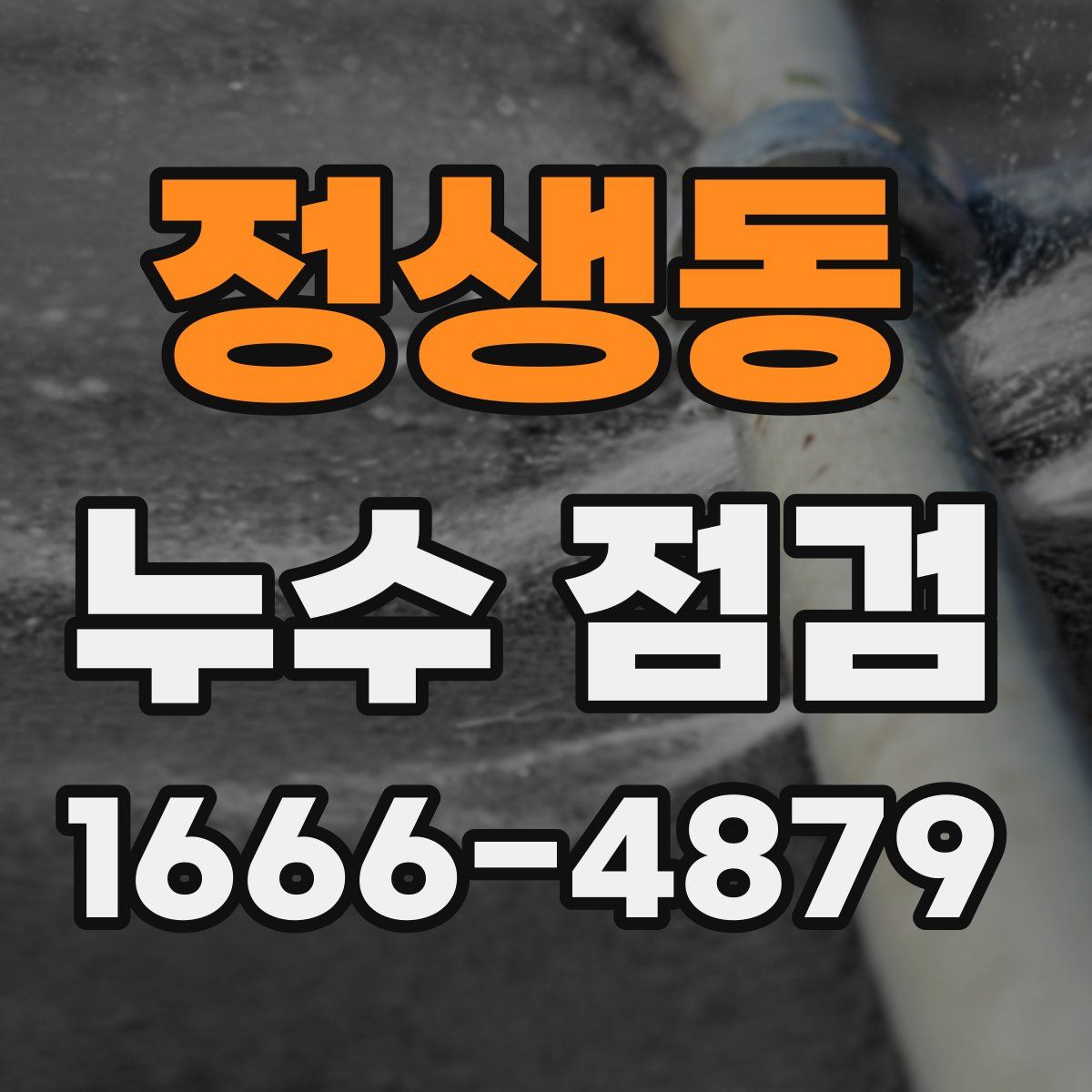 정생동 누수 점검