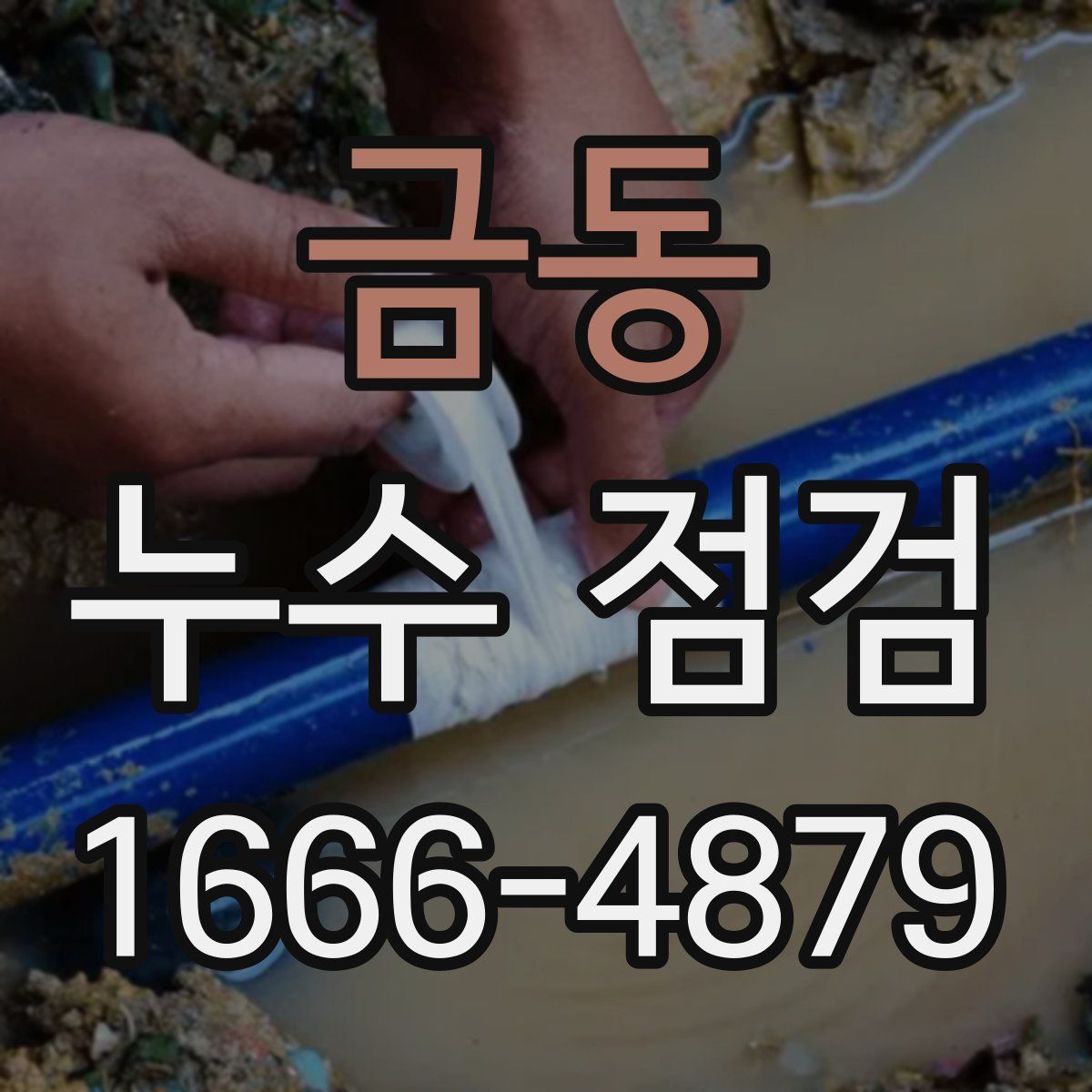 금동 누수 점검