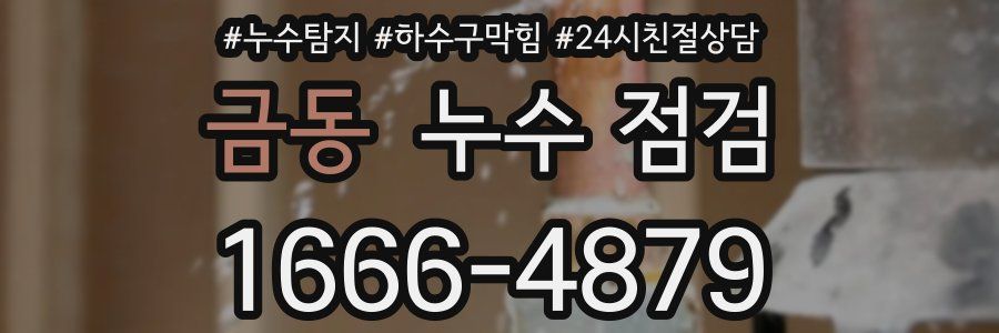 금동 누수 점검