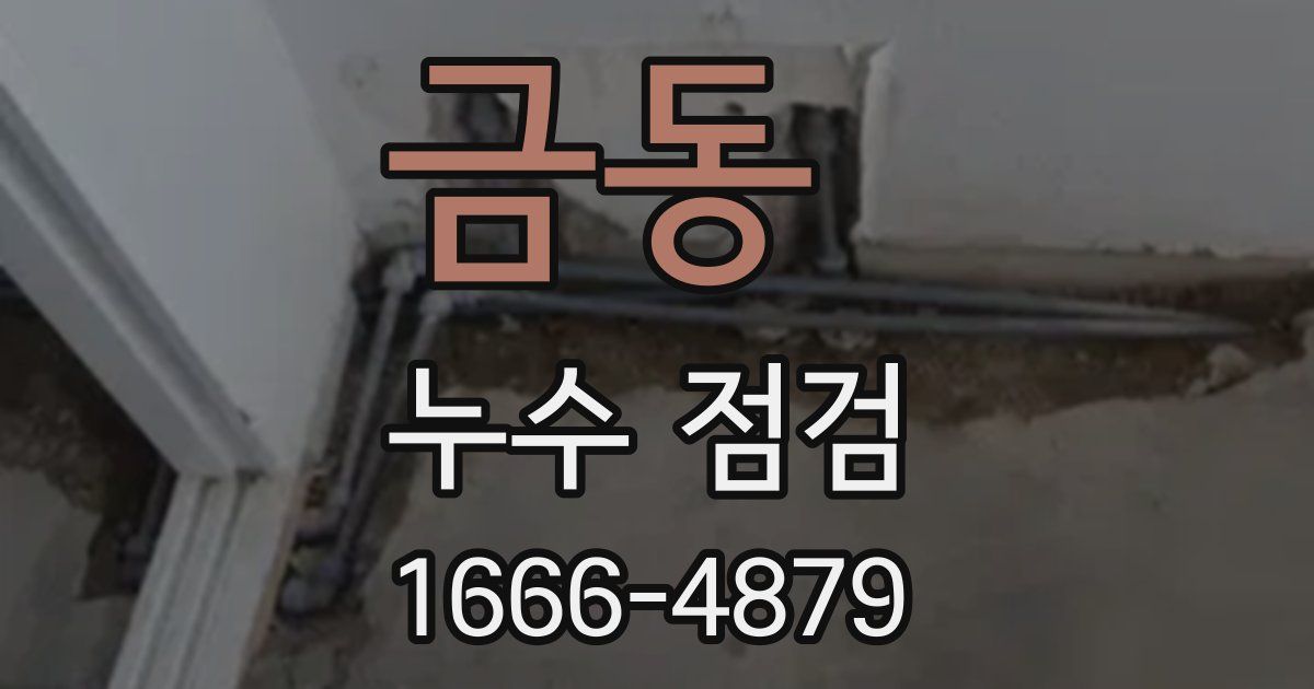 금동 누수 점검