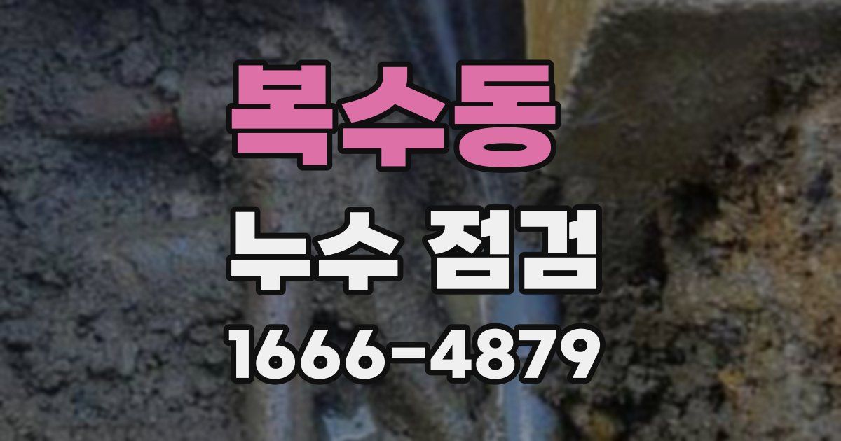 복수동 누수 점검