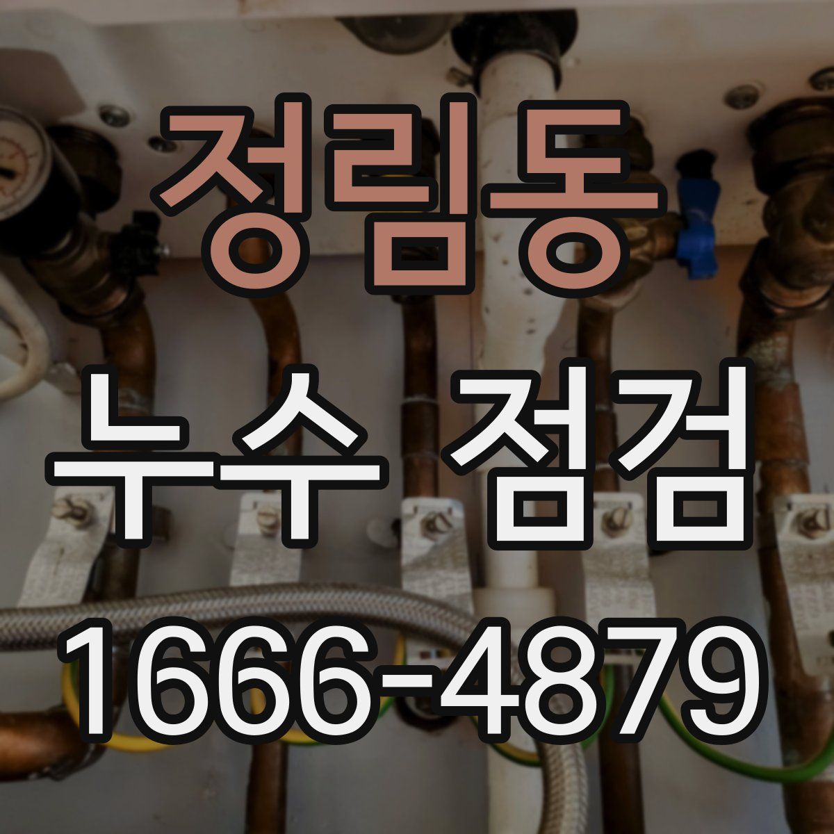 정림동 누수 점검