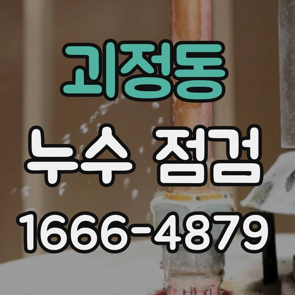 괴정동 누수 점검