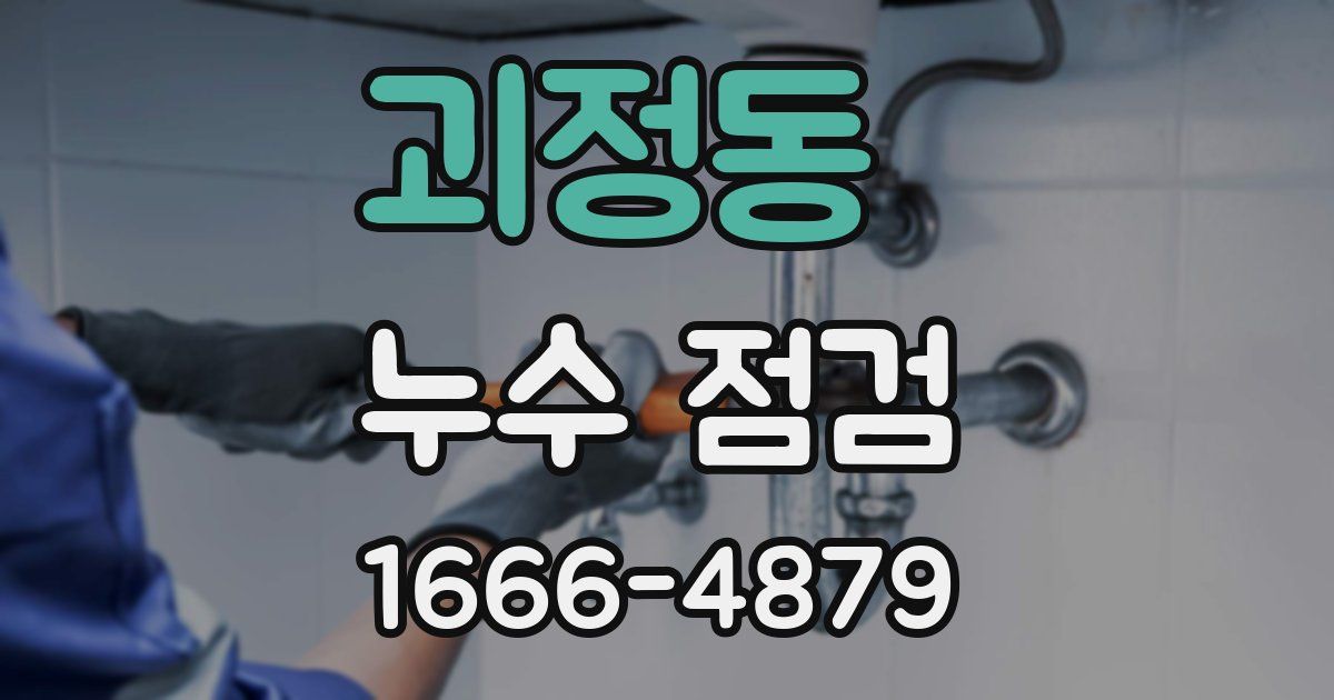 괴정동 누수 점검