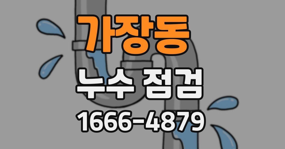 가장동 누수 점검