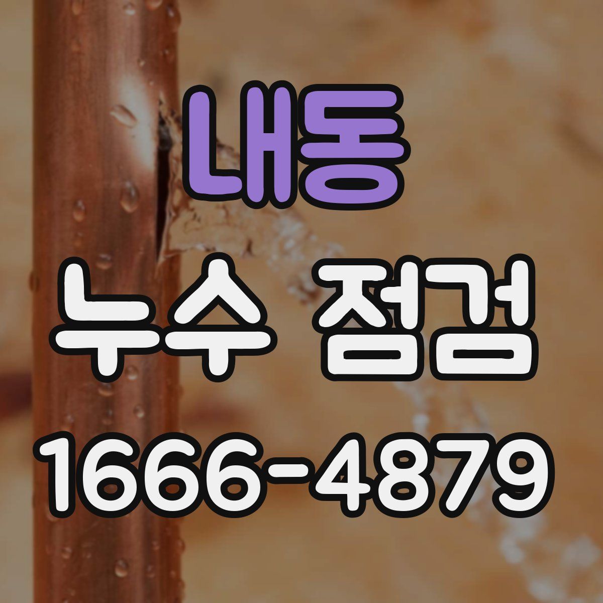 내동 누수 점검