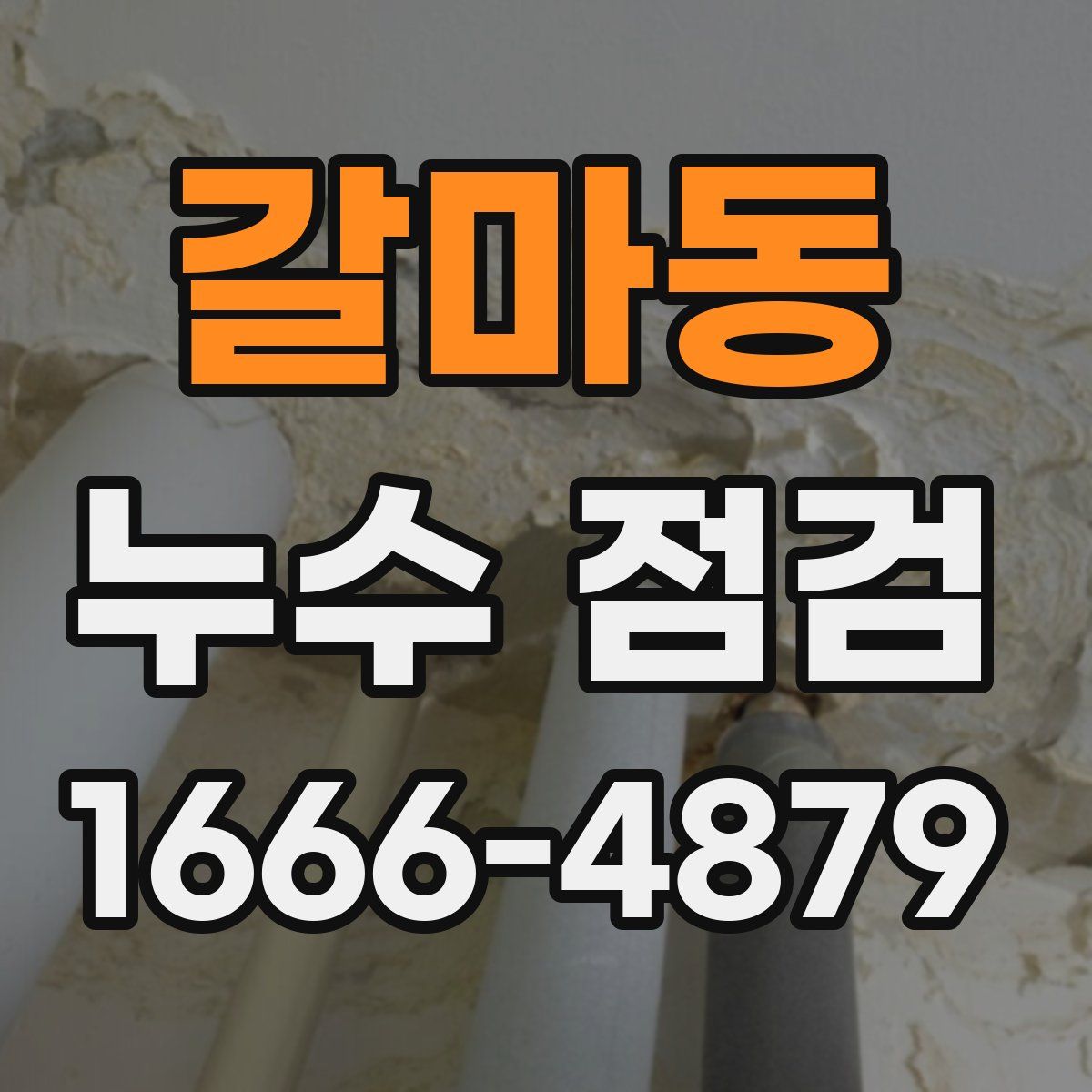 갈마동 누수 점검