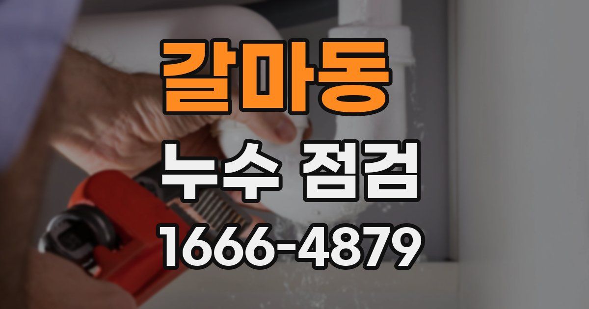 갈마동 누수 점검
