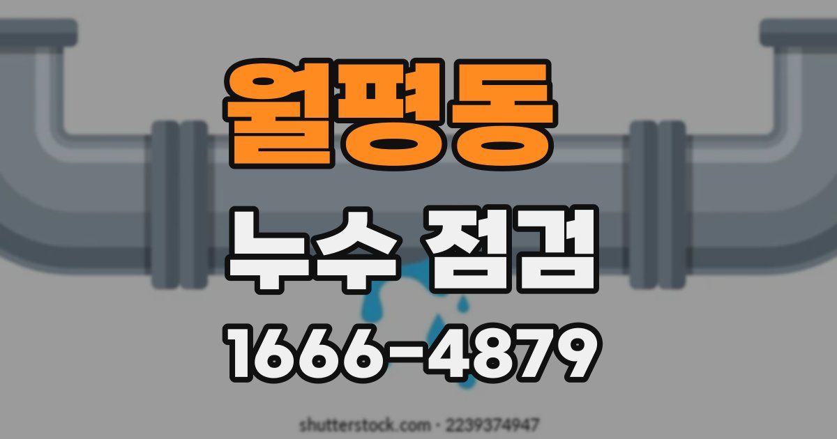 월평동 누수 점검