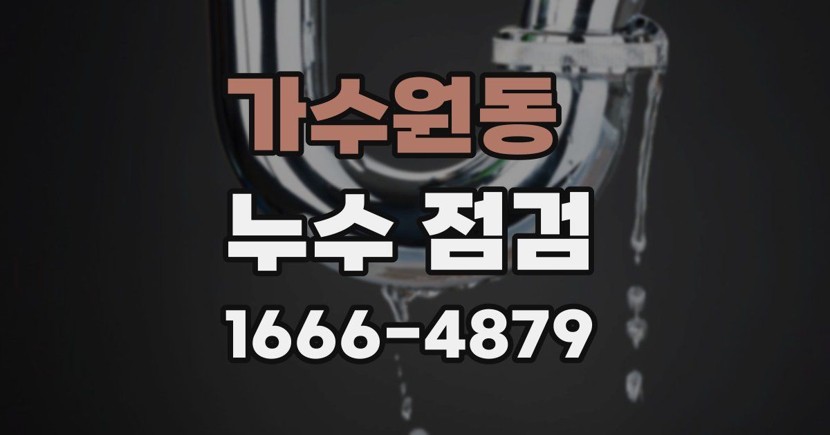 가수원동 누수 점검