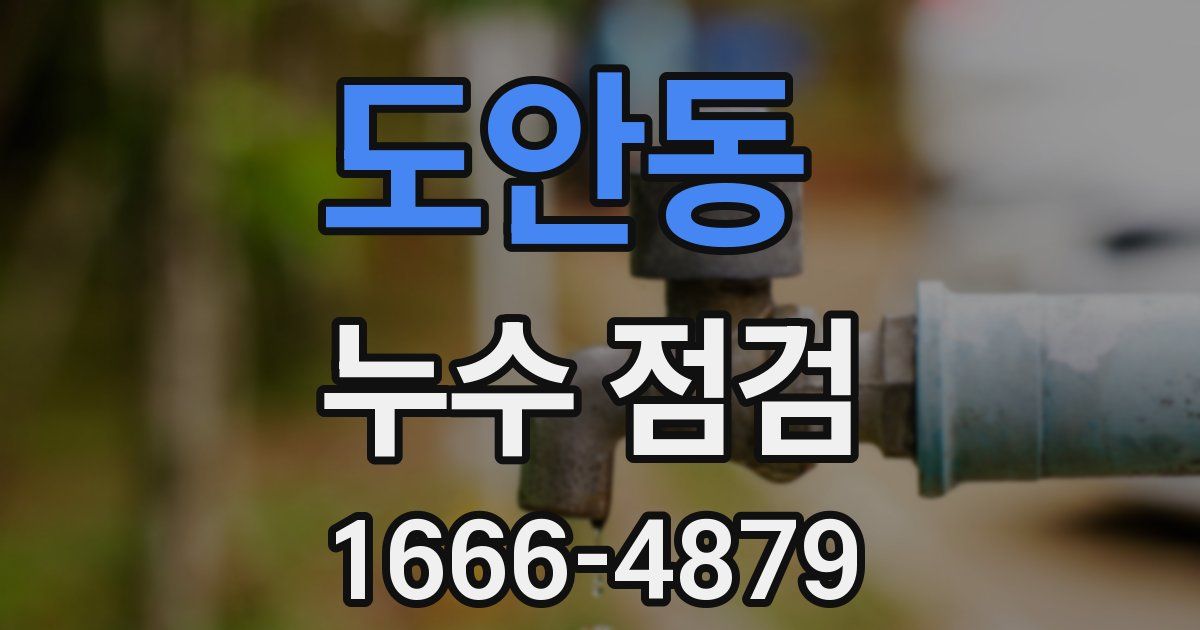 도안동 누수 점검