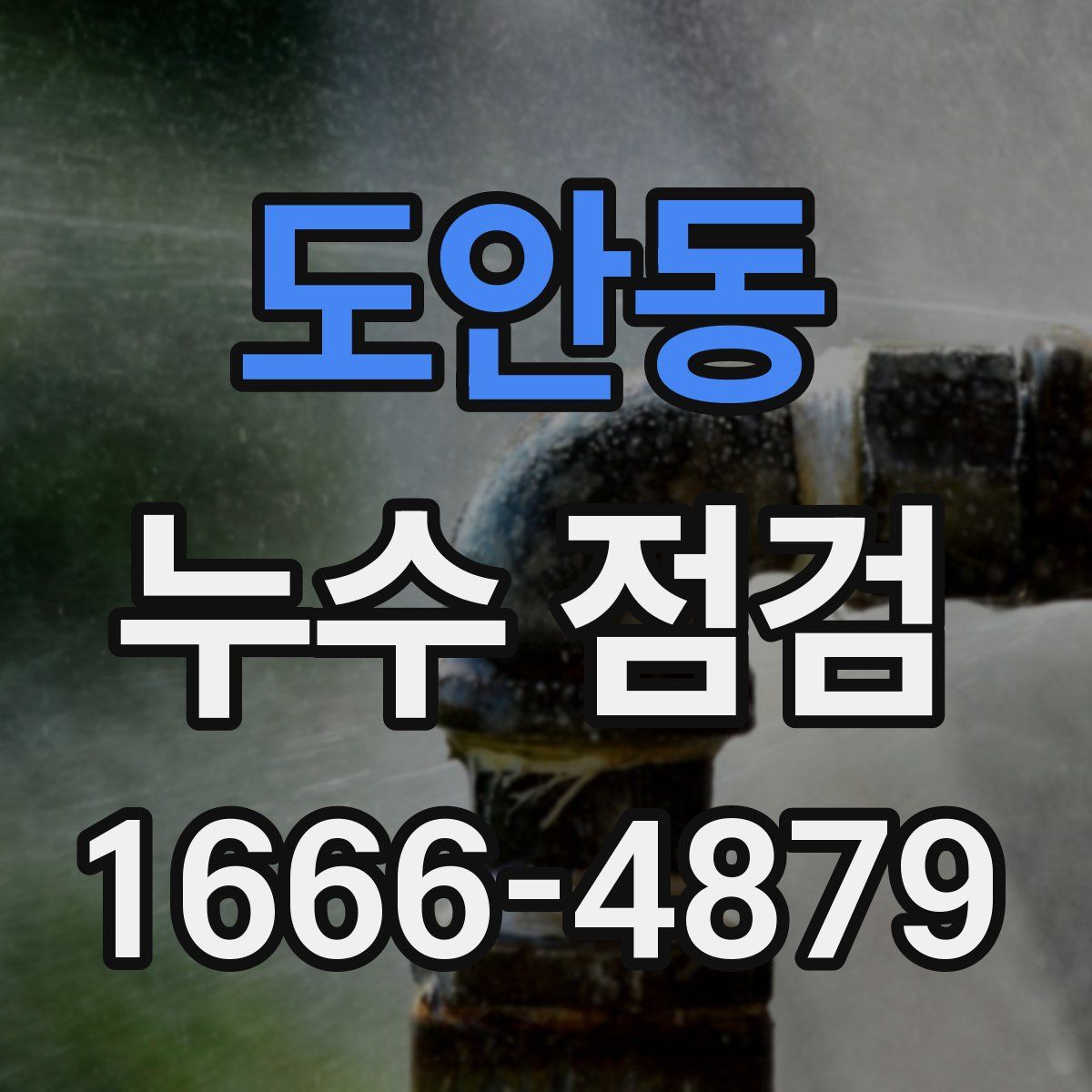 도안동 누수 점검