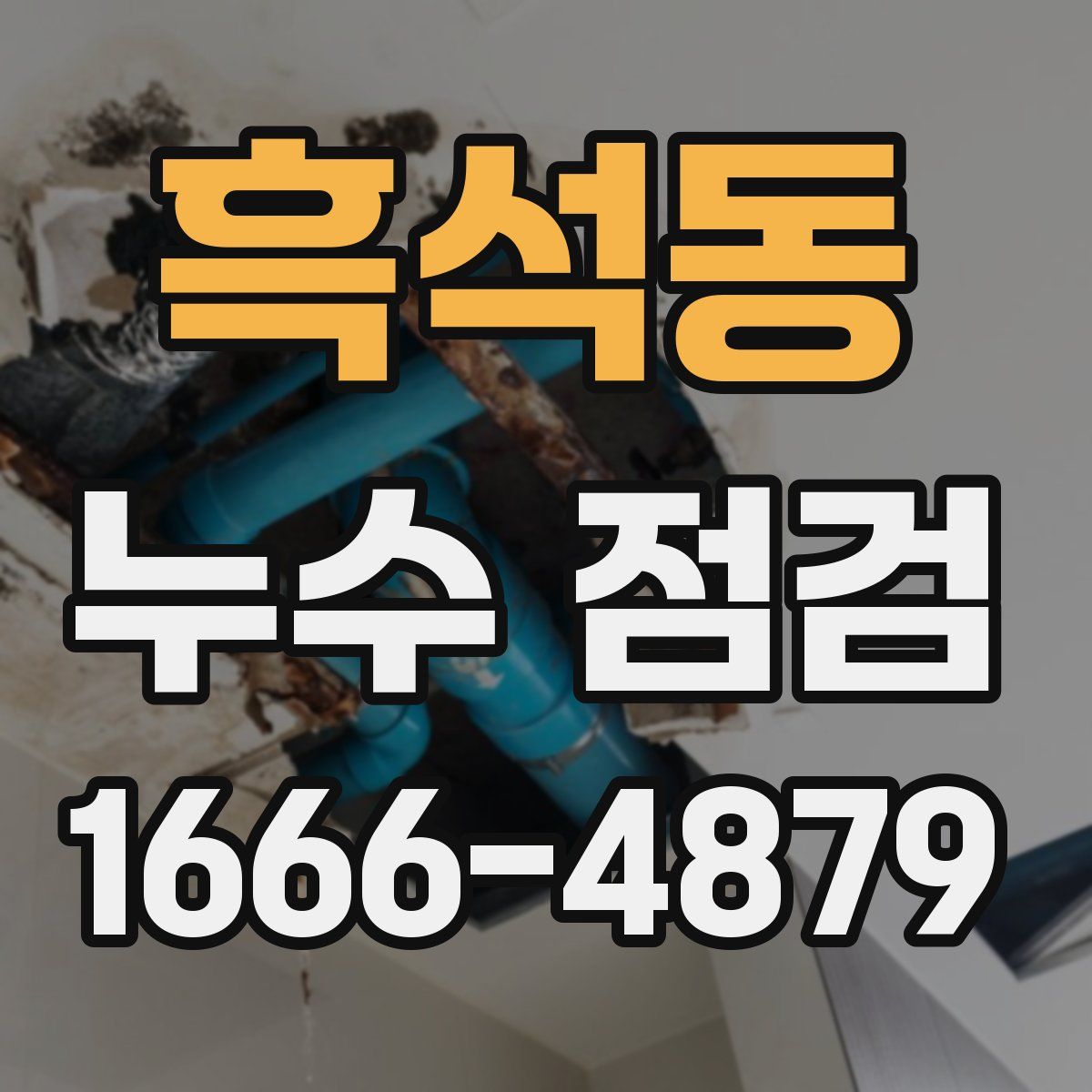 흑석동 누수 점검