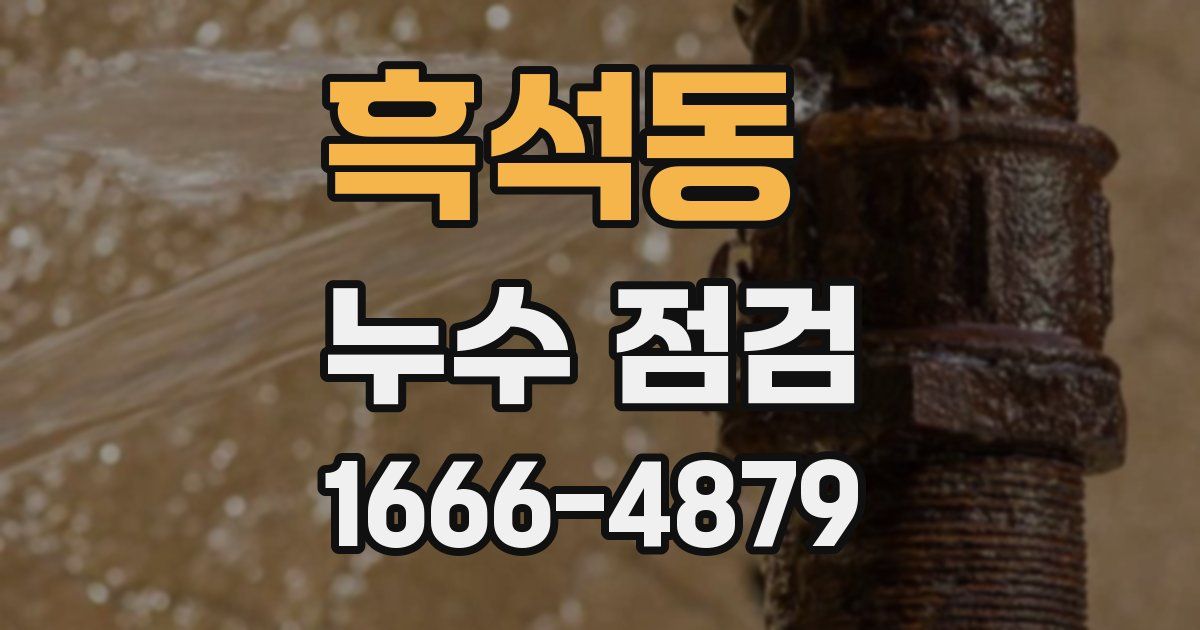 흑석동 누수 점검