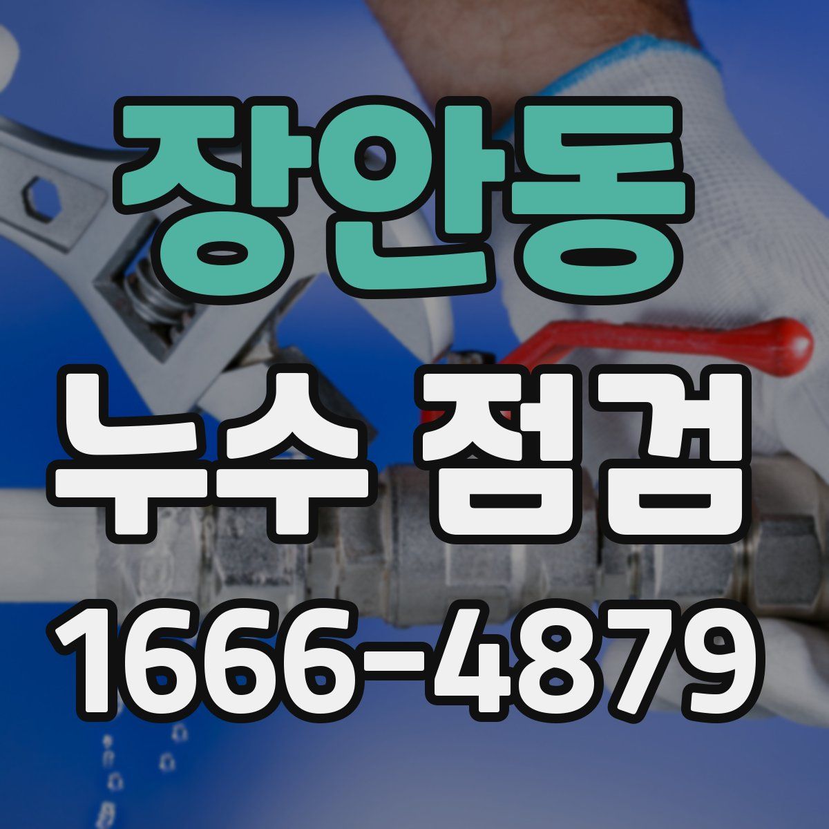 장안동 누수 점검