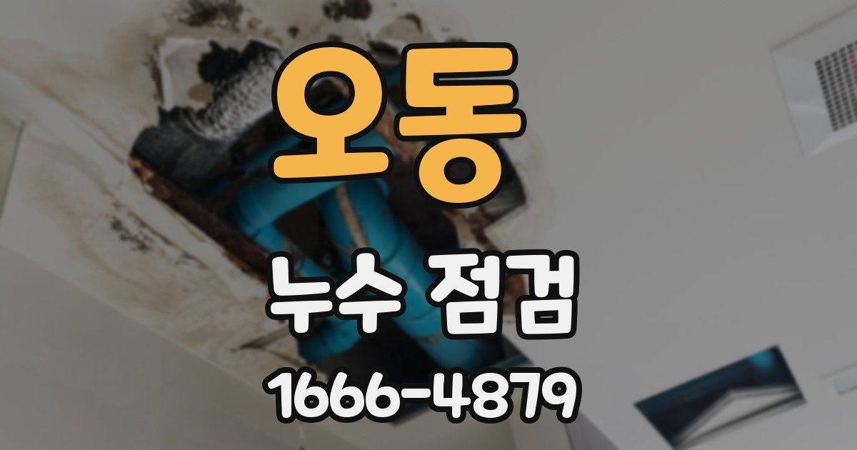 오동 누수 점검