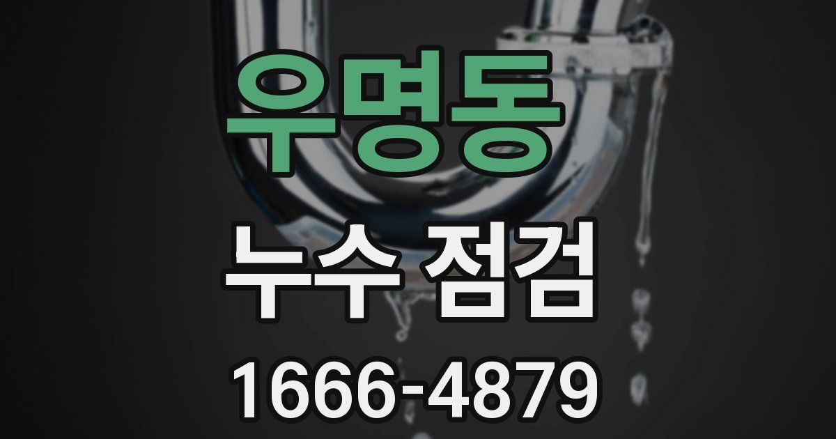 우명동 누수 점검