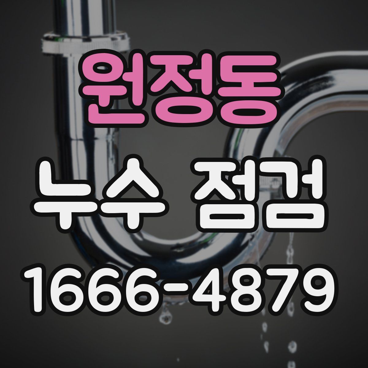 원정동 누수 점검