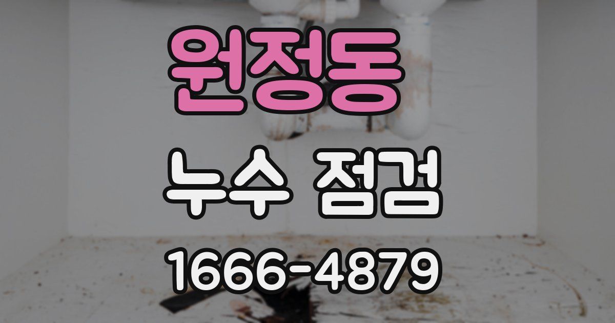 원정동 누수 점검