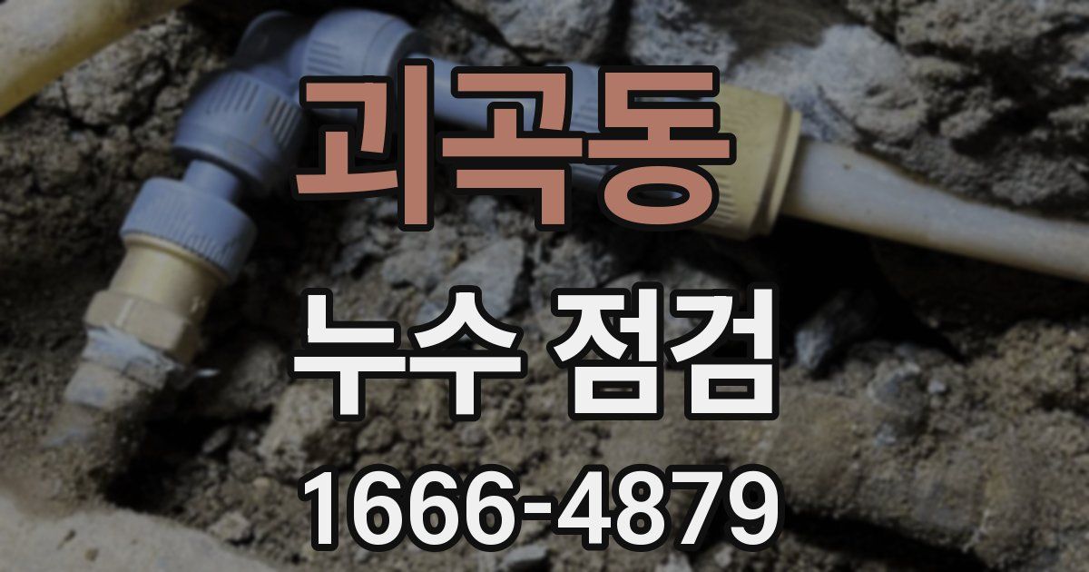 괴곡동 누수 점검