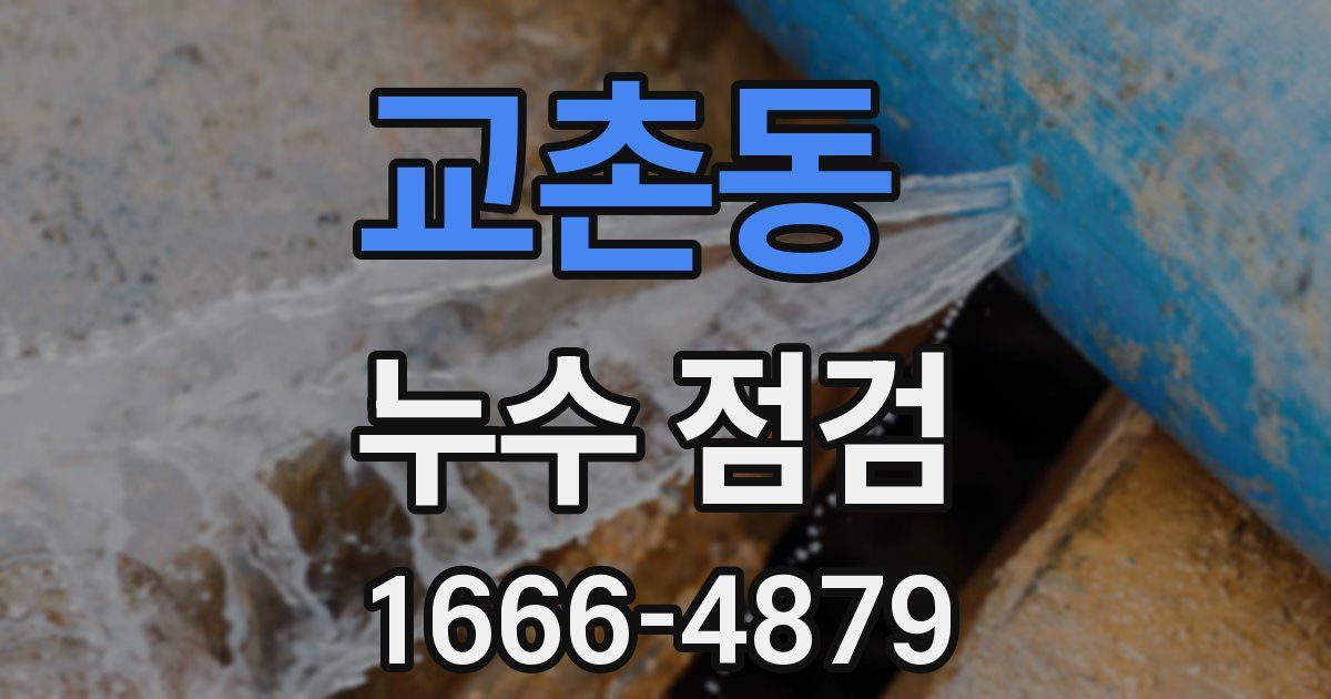 교촌동 누수 점검