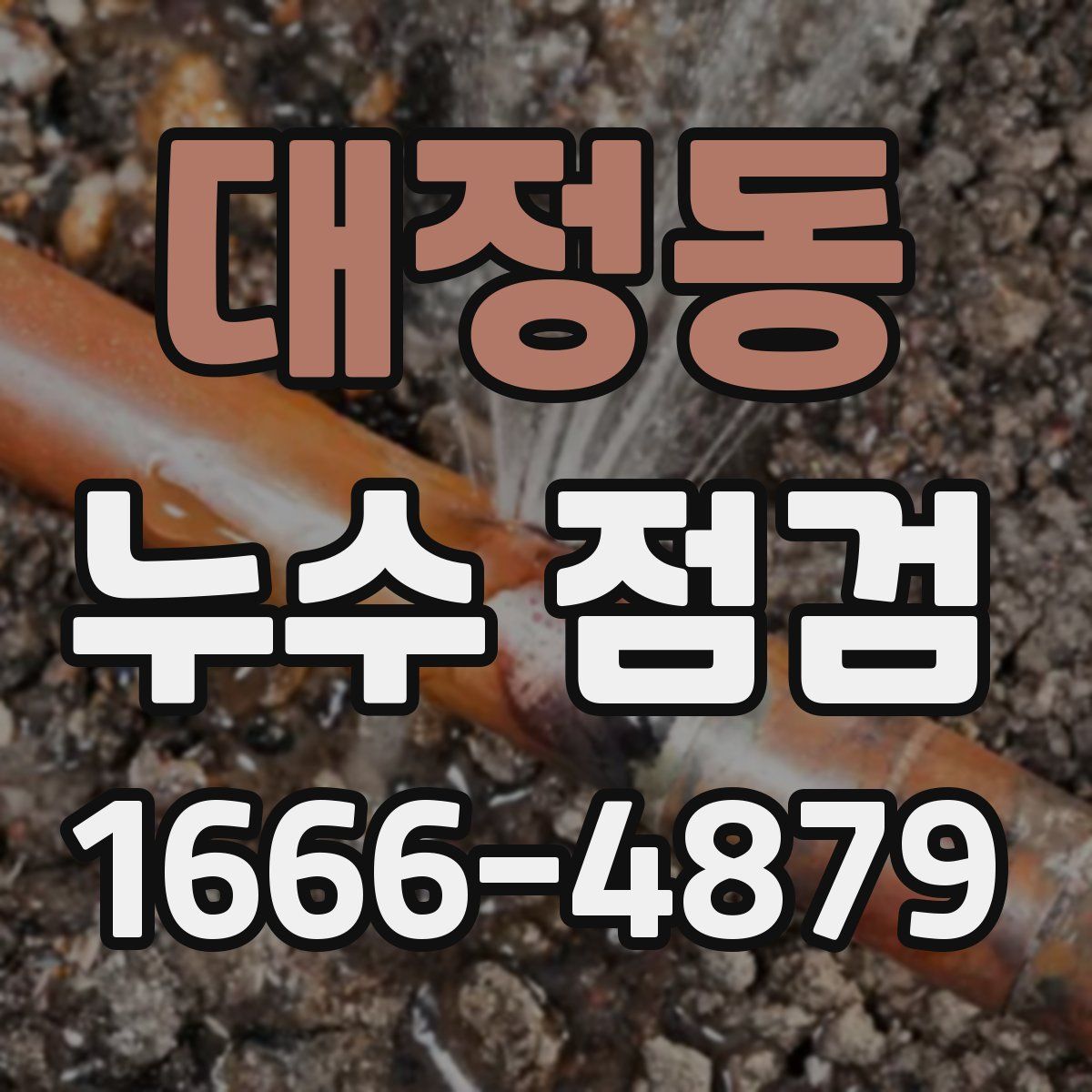 대정동 누수 점검
