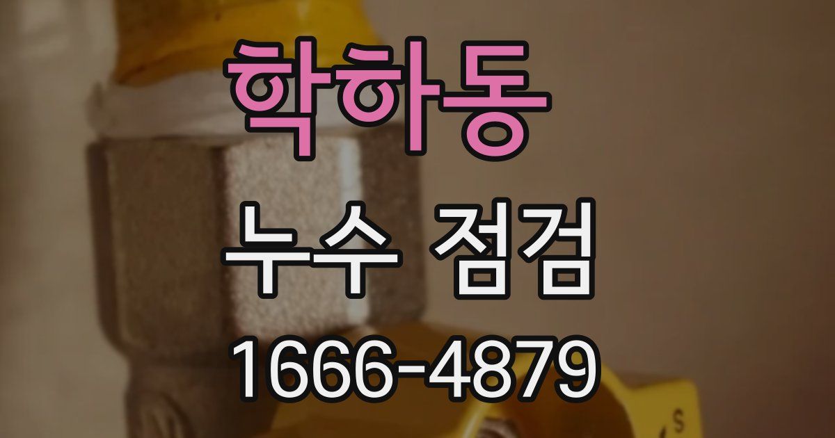 학하동 누수 점검