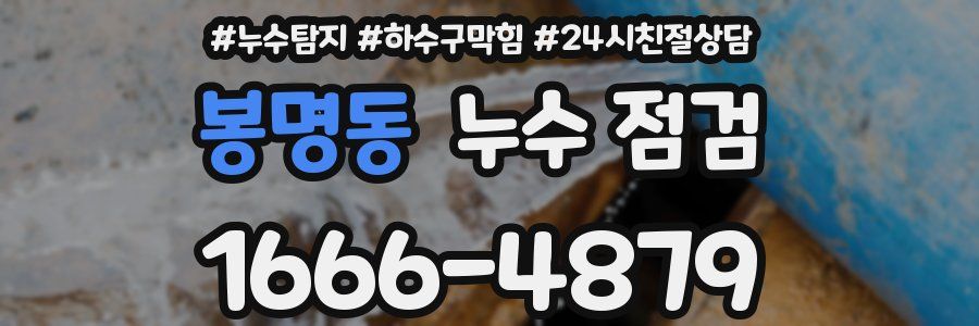 봉명동 누수 점검