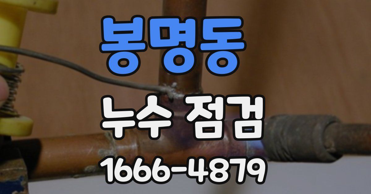 봉명동 누수 점검