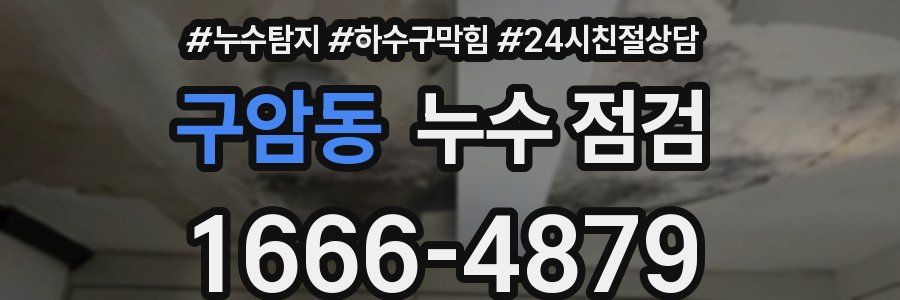 구암동 누수 점검