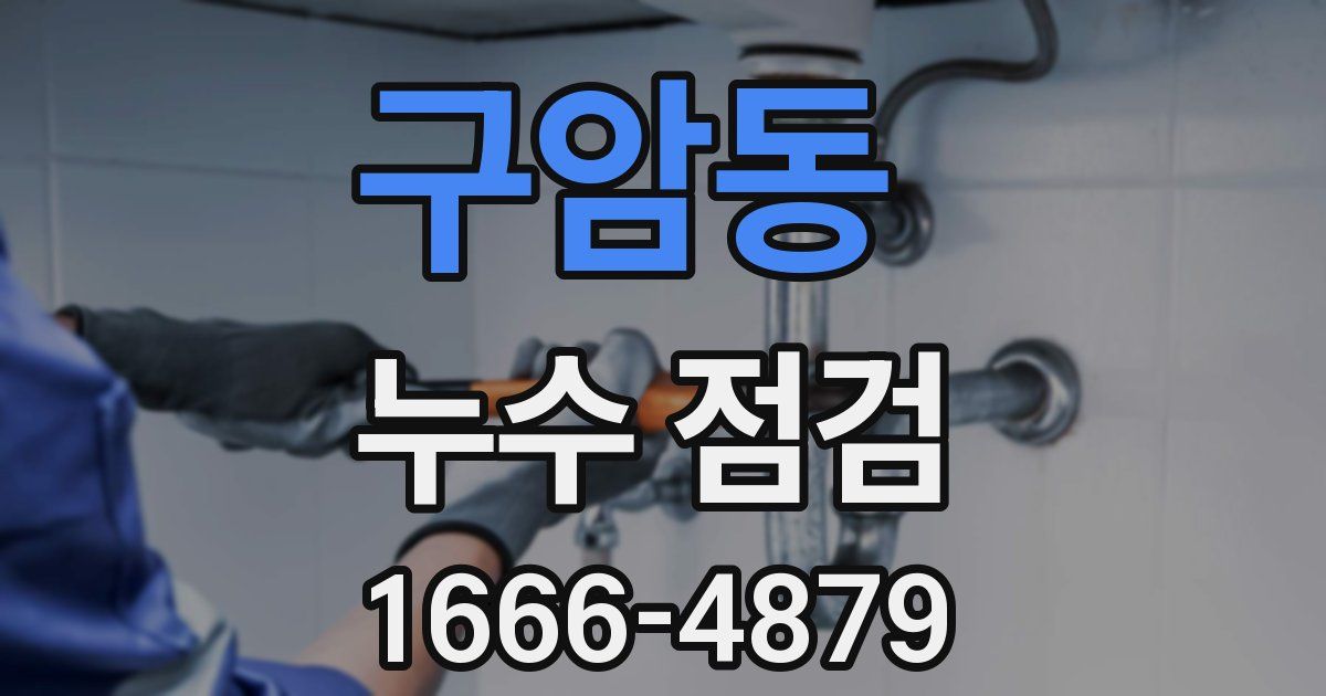 구암동 누수 점검