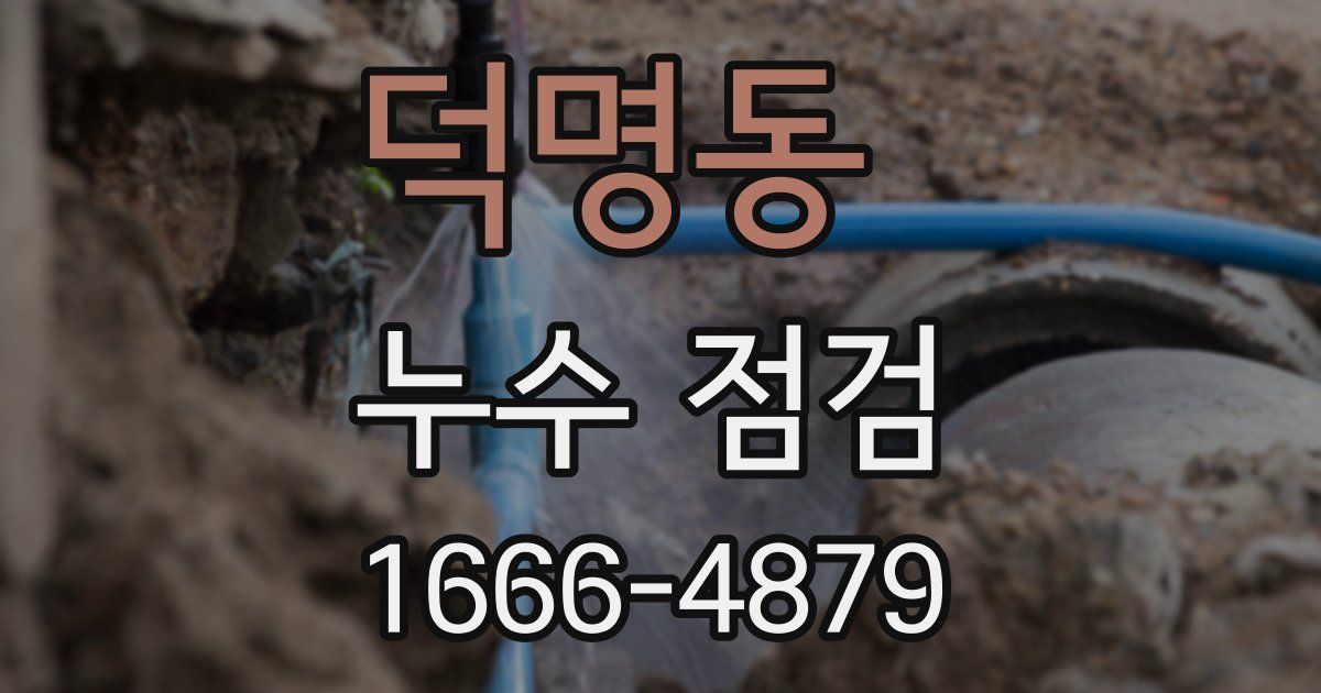 덕명동 누수 점검