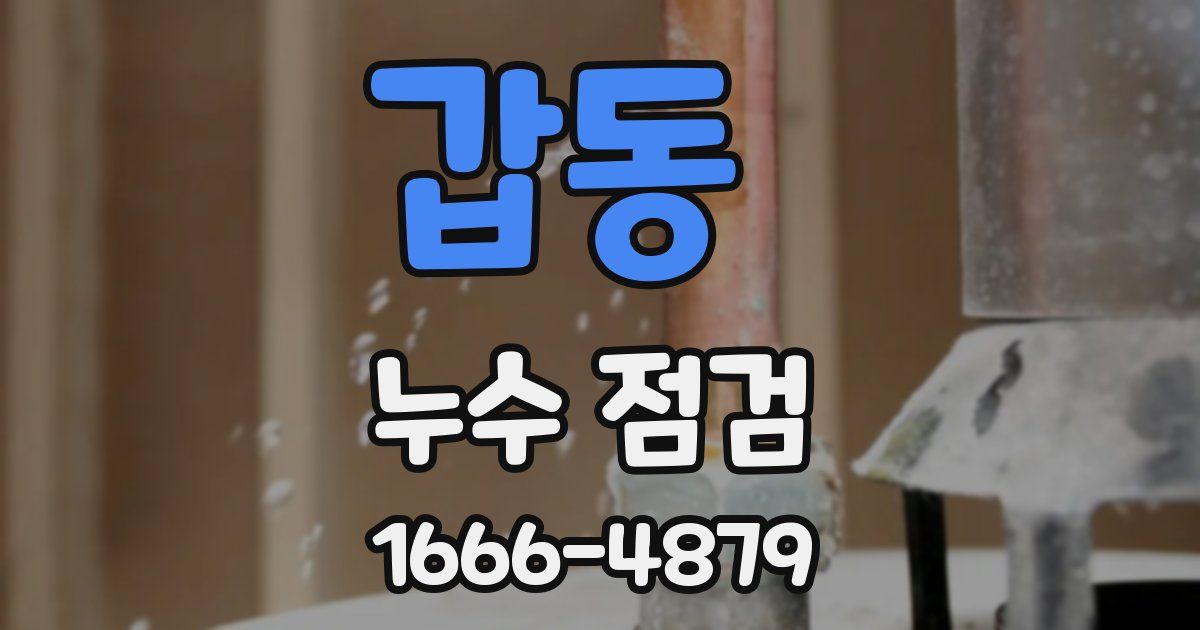갑동 누수 점검