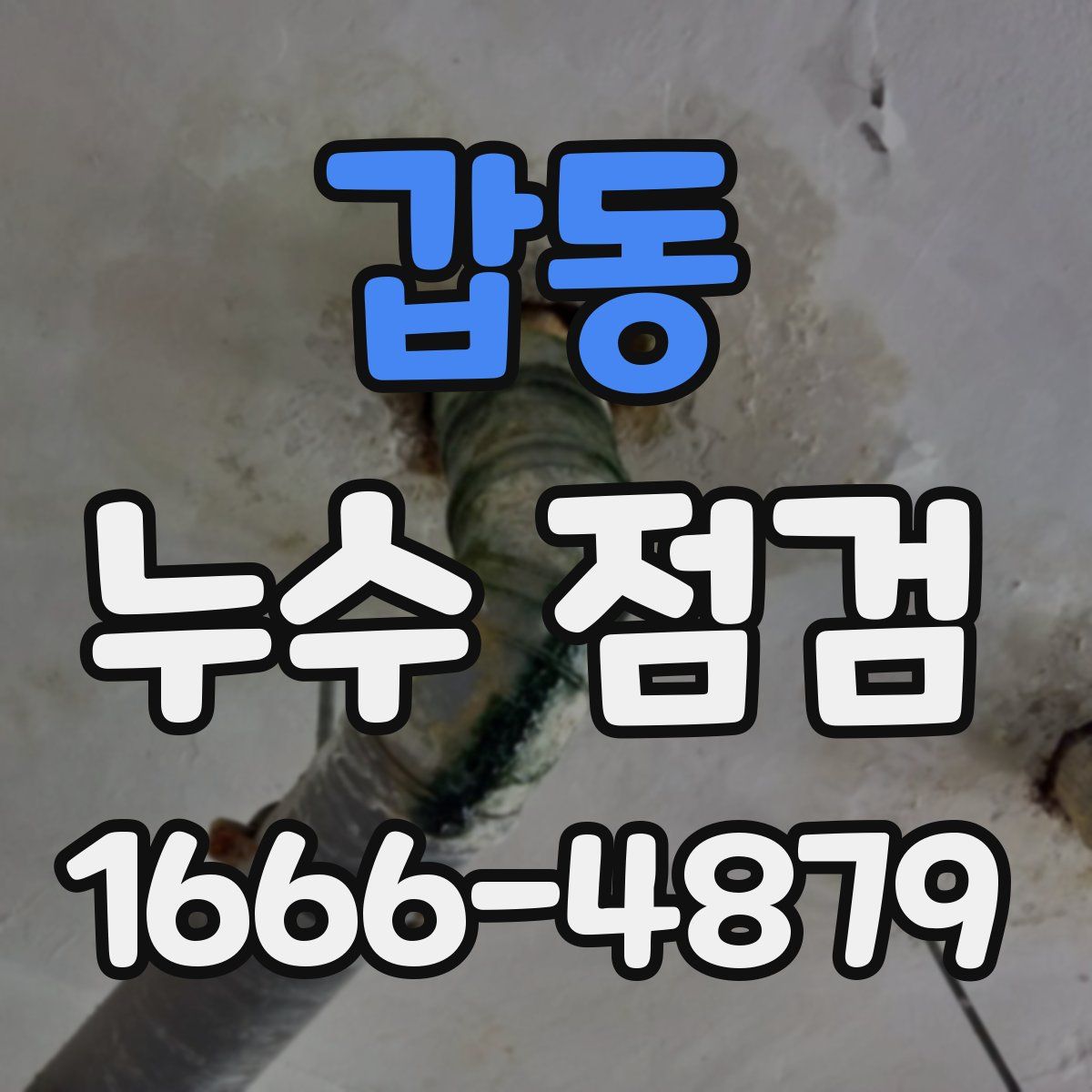 갑동 누수 점검