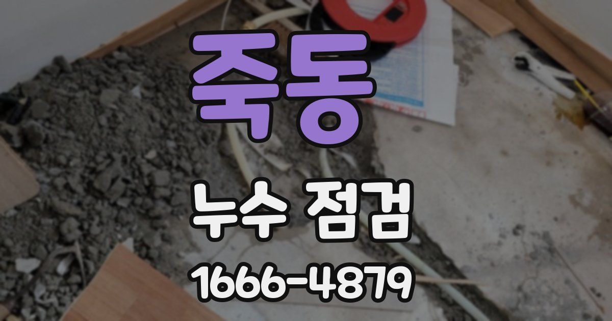 죽동 누수 점검