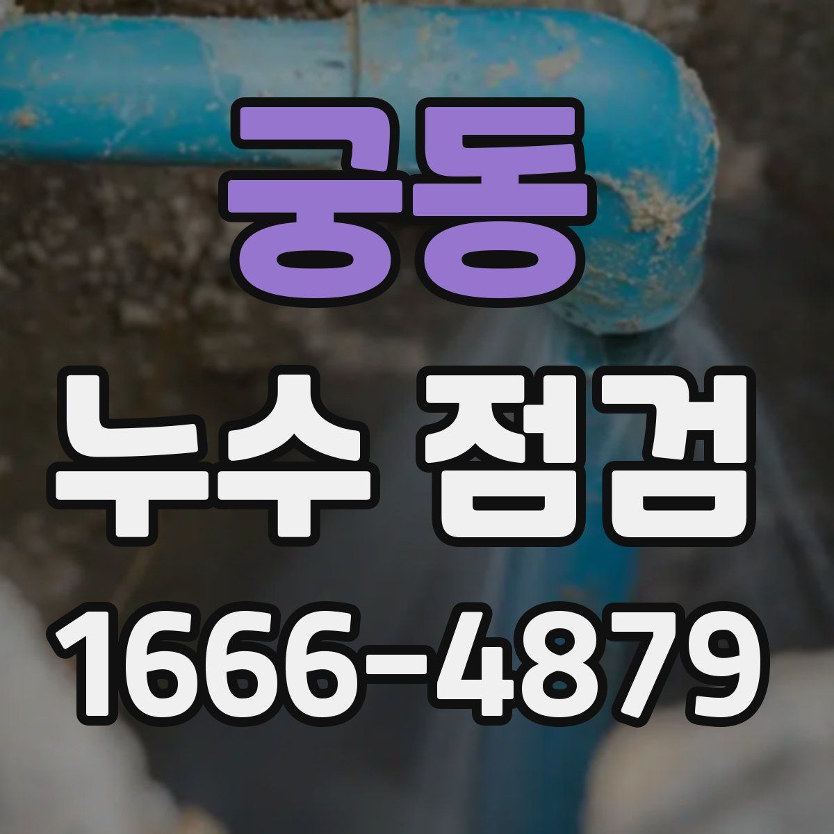 궁동 누수 점검