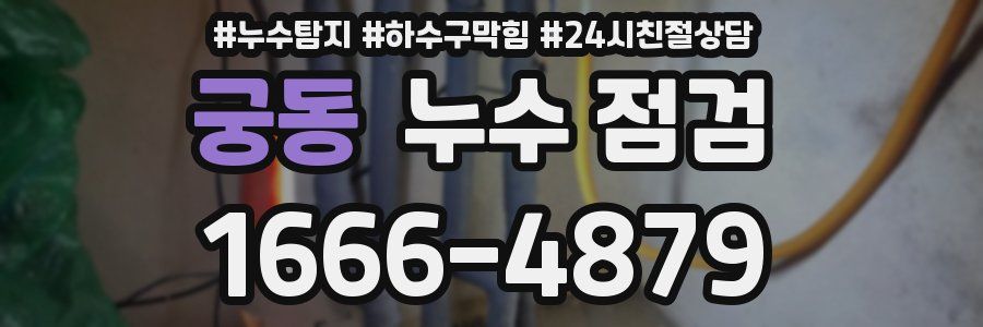 궁동 누수 점검