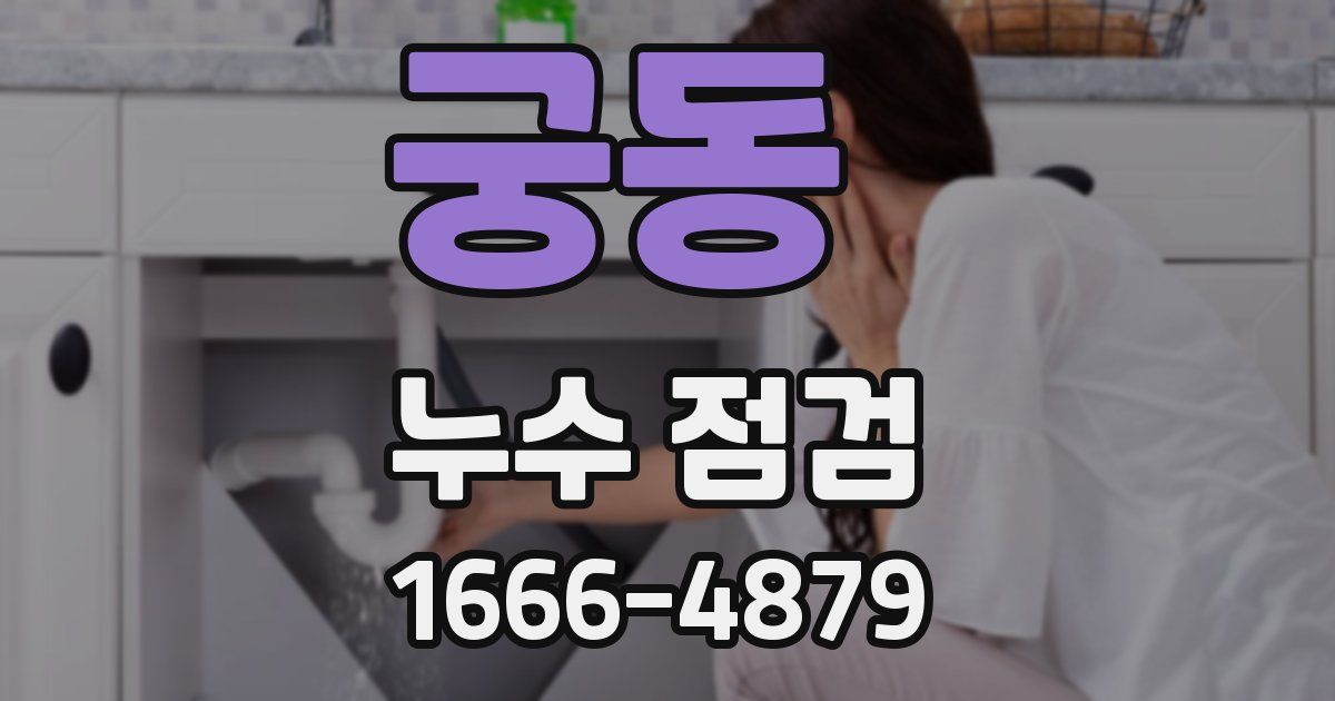 궁동 누수 점검
