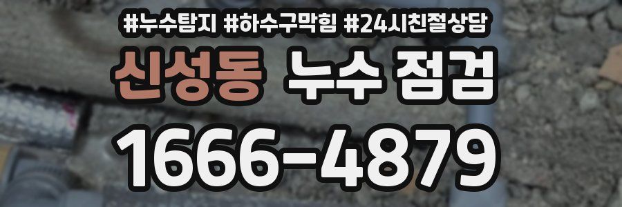 신성동 누수 점검