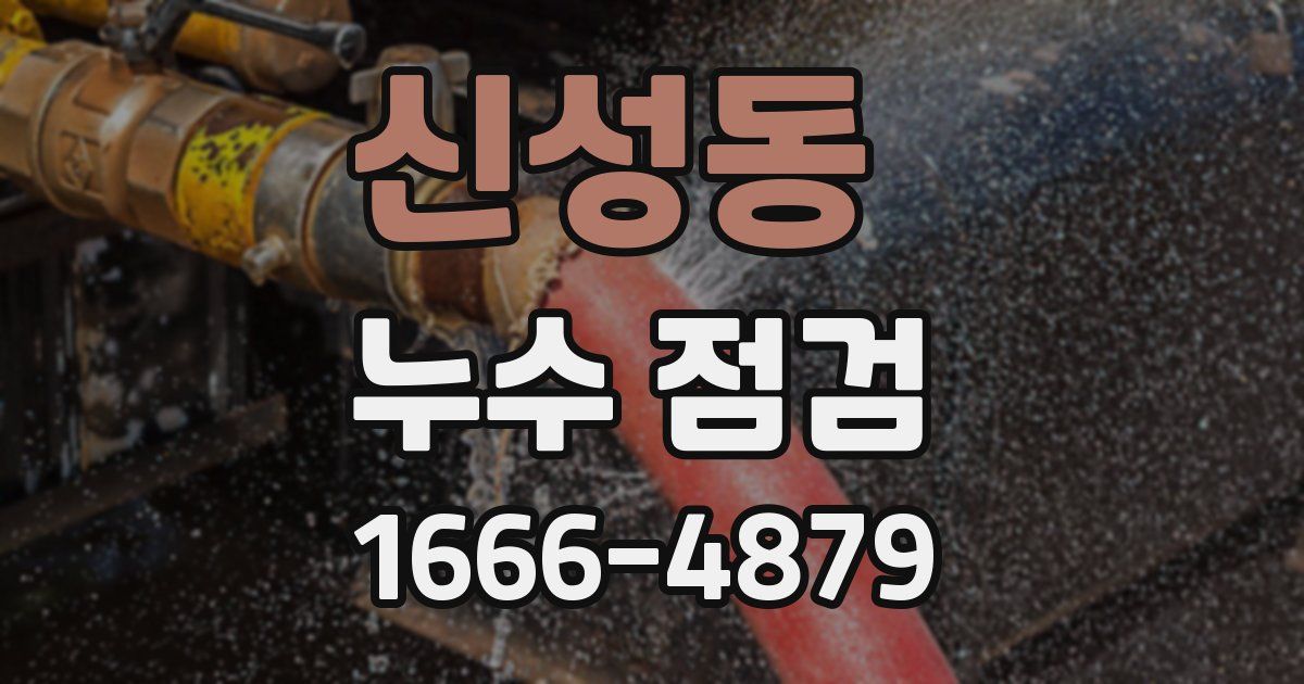 신성동 누수 점검