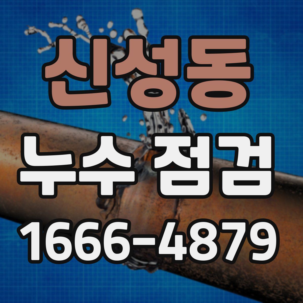 신성동 누수 점검