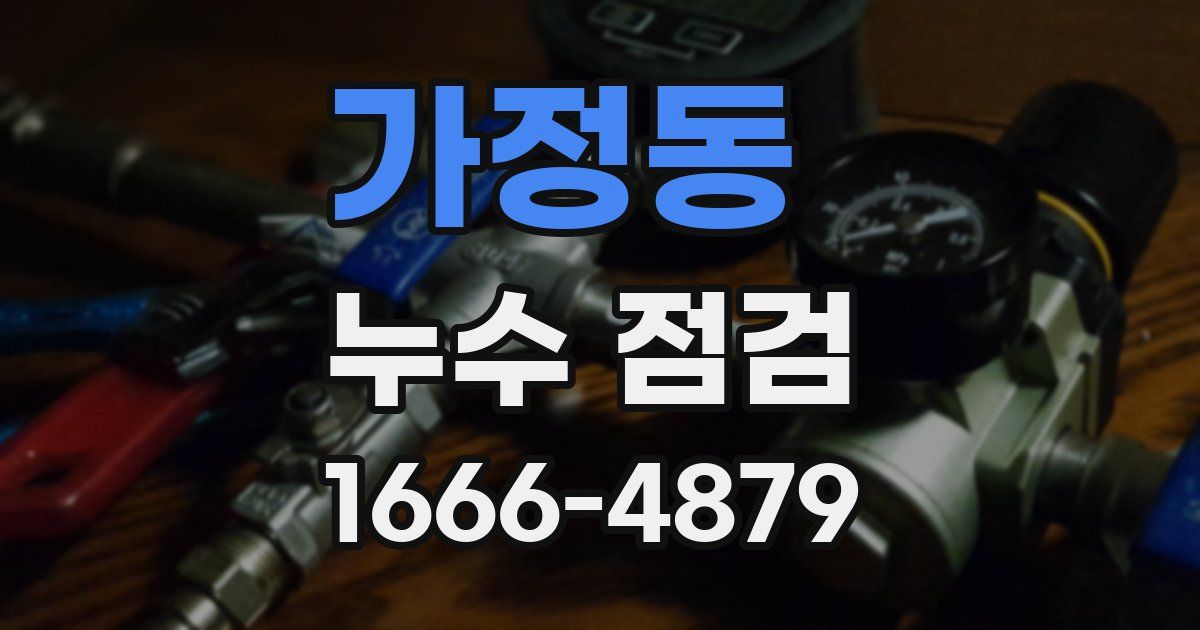 가정동 누수 점검