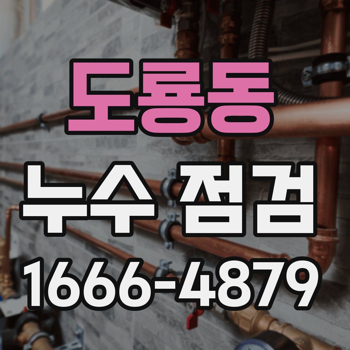 도룡동 누수 점검