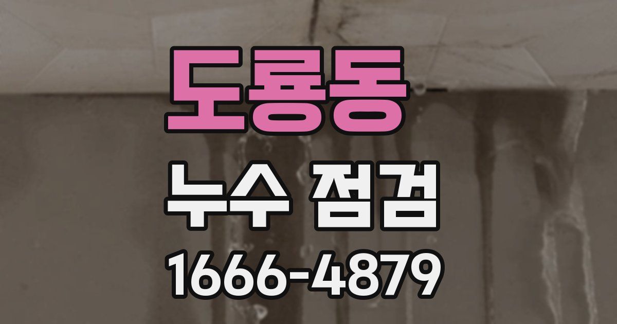 도룡동 누수 점검
