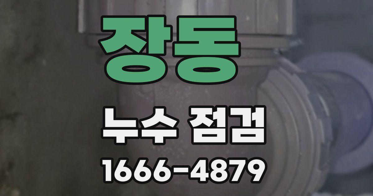 장동 누수 점검